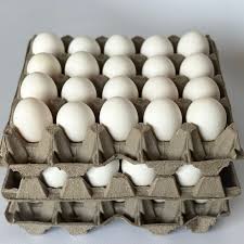 HUEVOS BLANCOS SUPER MAPLE